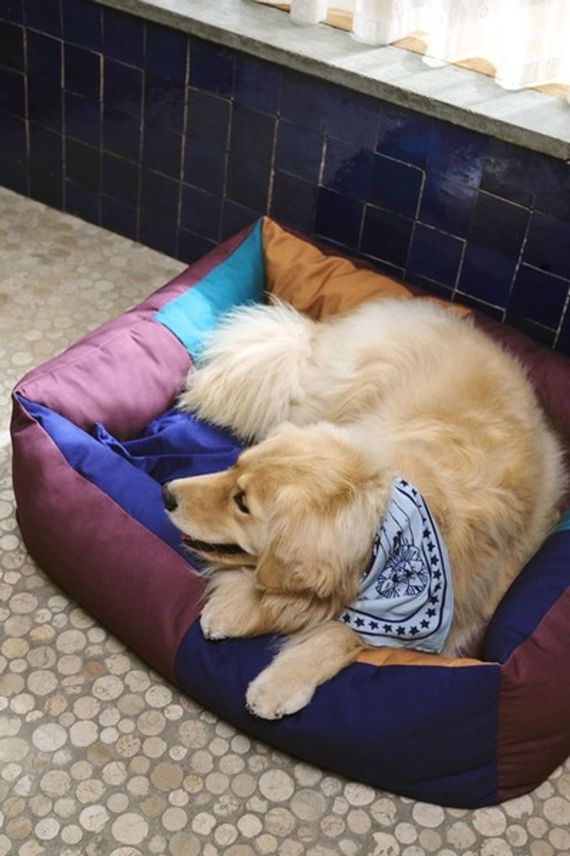 HAY Dogs Bed - Large
