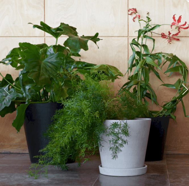 Hovedbilde Flowerpot XX-Large