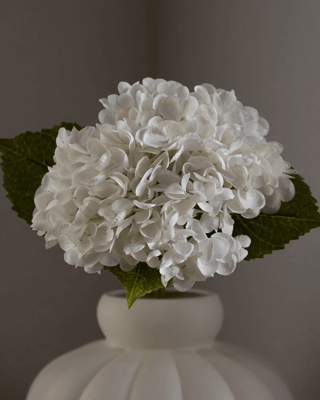 Hydrangea Flower