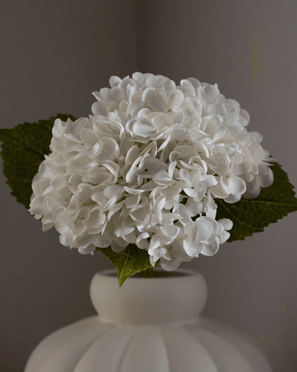 Hydrangea Flower