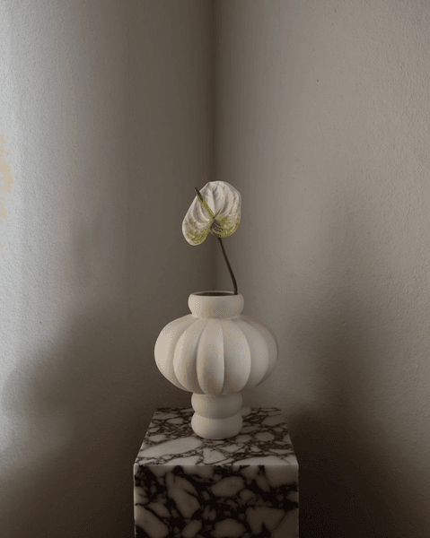 Hovedbilde Anthurium Flower