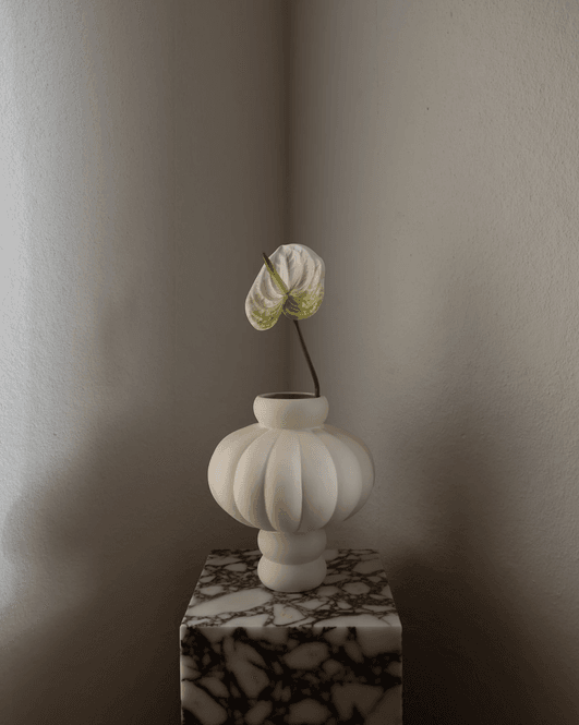 Hovedbilde Anthurium Flower