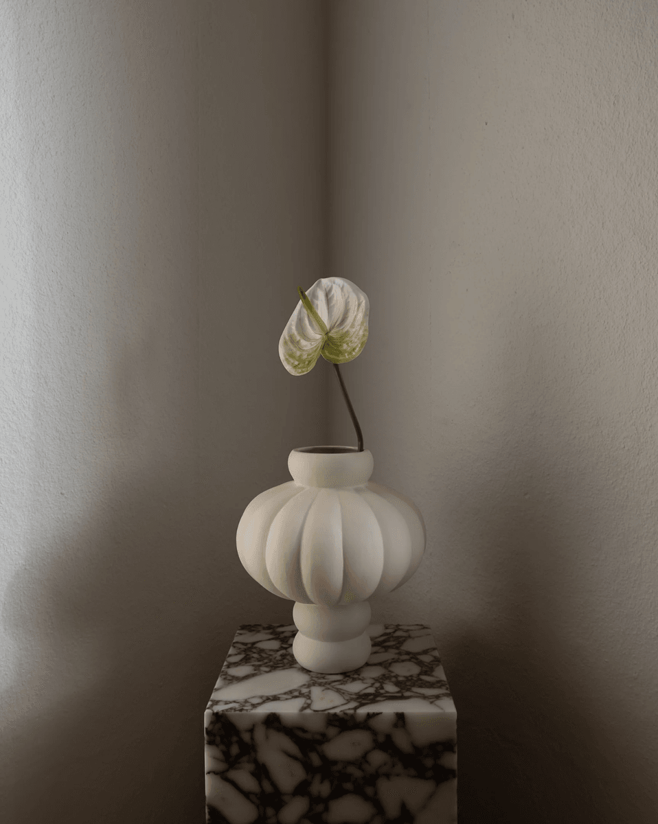 Anthurium Flower
