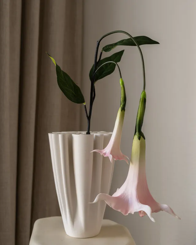 Datura Stramonium