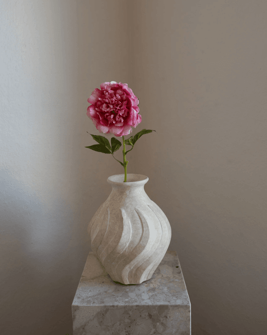 Hovedbilde Peony Flower