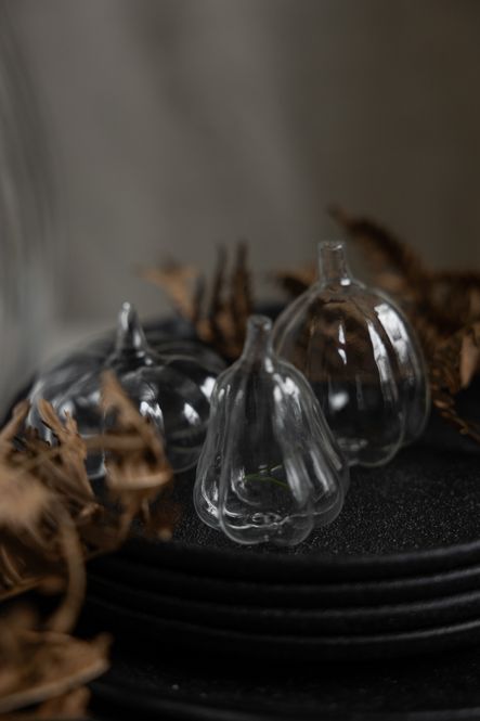 Hovedbilde Stenkullen Glassgresskar