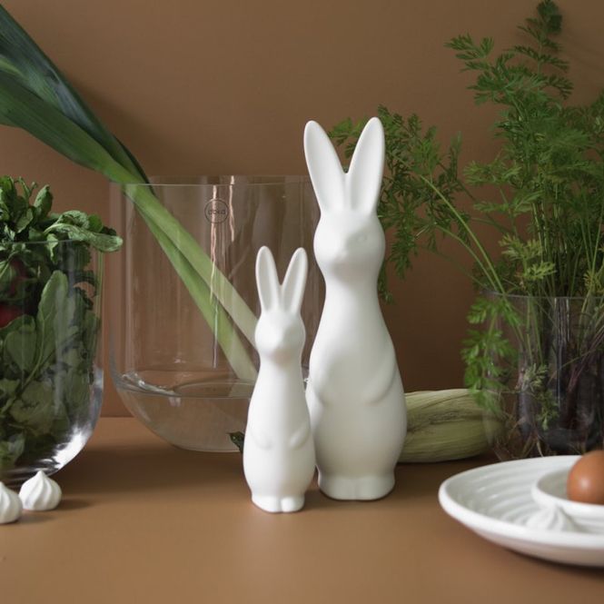 Hovedbilde Swedish Rabbit Small