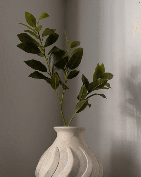 Hovedbilde Osmanthus Leaf