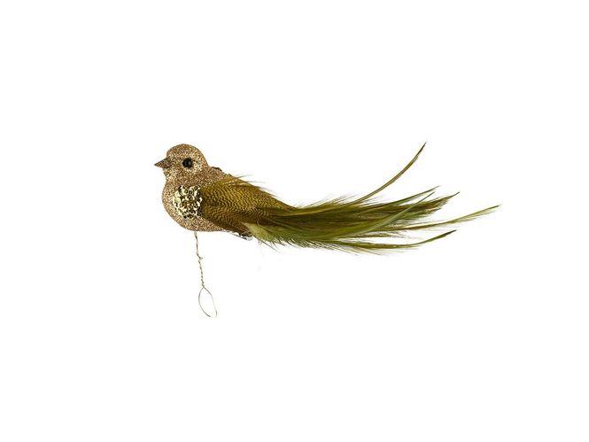 Hovedbilde Fugl 16cm Gull/Grønn med klype