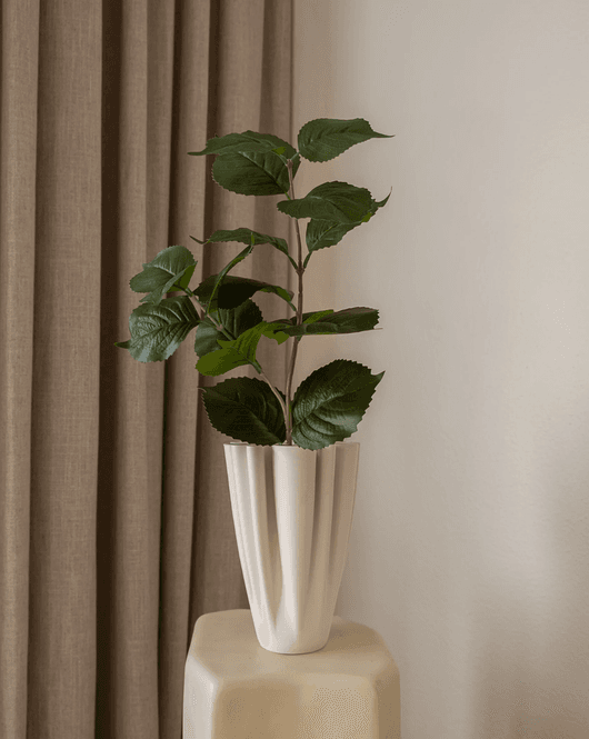 Hovedbilde Hydrangea Leaves