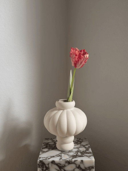 Hovedbilde Parrot Tulip Flower