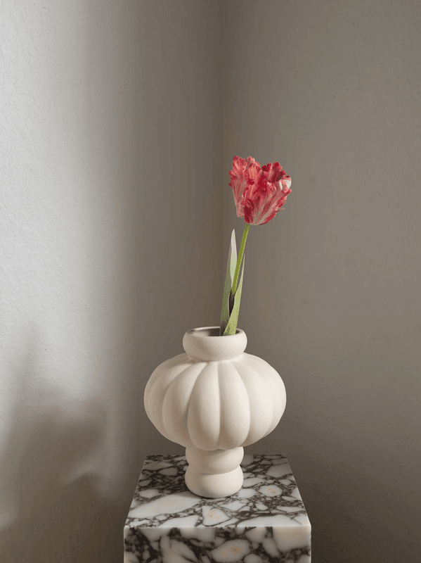 Parrot Tulip Flower