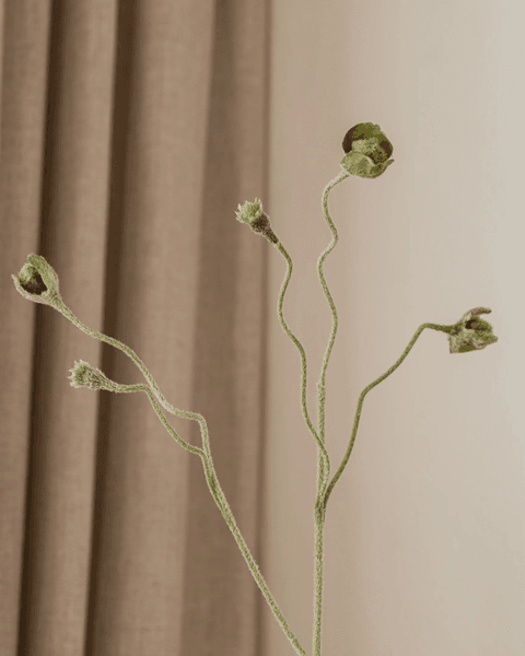 Hovedbilde Poppy Bud