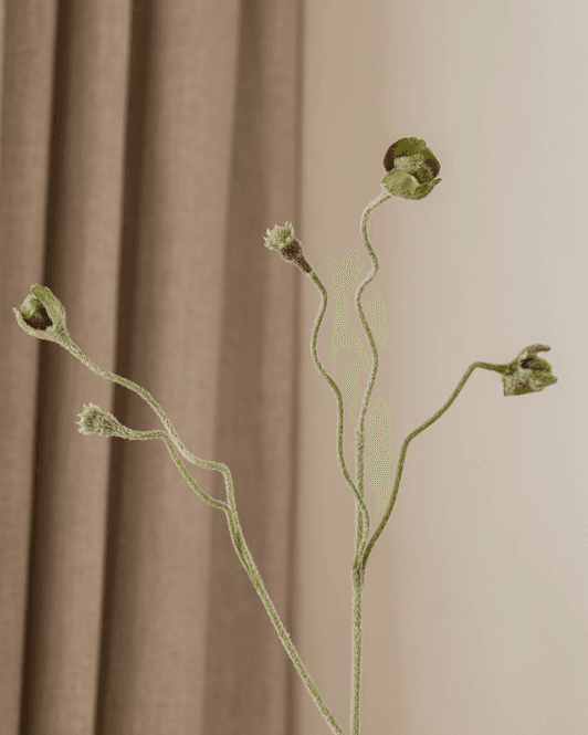 Hovedbilde Poppy Bud