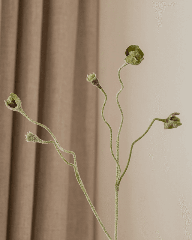 Poppy Bud