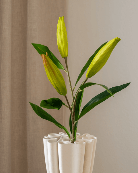 Hovedbilde Lily Flower Bud