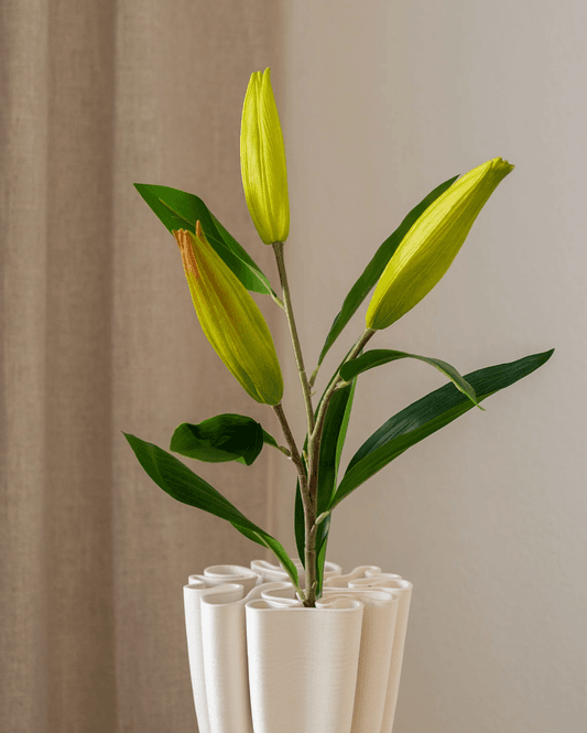 Hovedbilde Lily Flower Bud