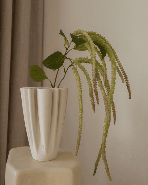 Hovedbilde Amaranthus Light Green