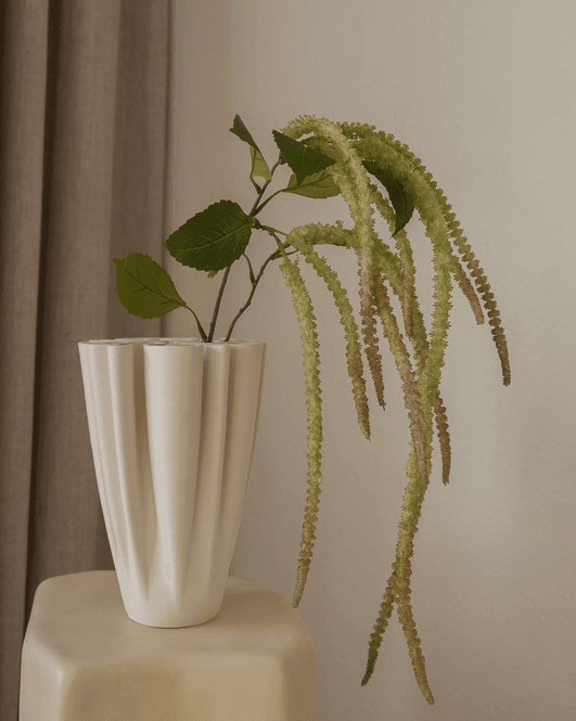 Hovedbilde Amaranthus Light Green