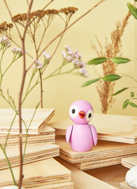 Spring Birds