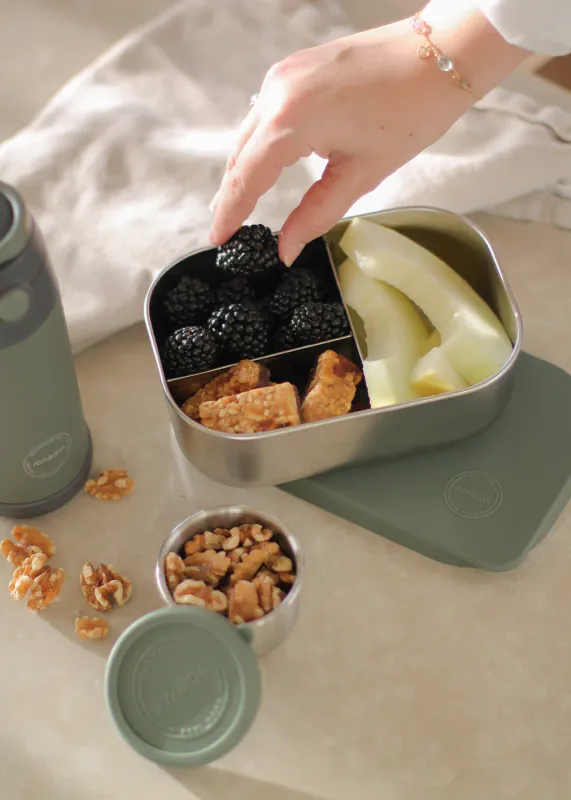 Lunch Box - Tropical Green - 900ML