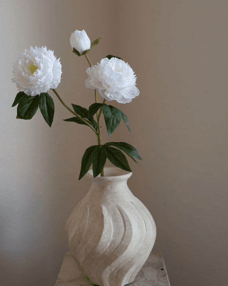 Peony Flowers