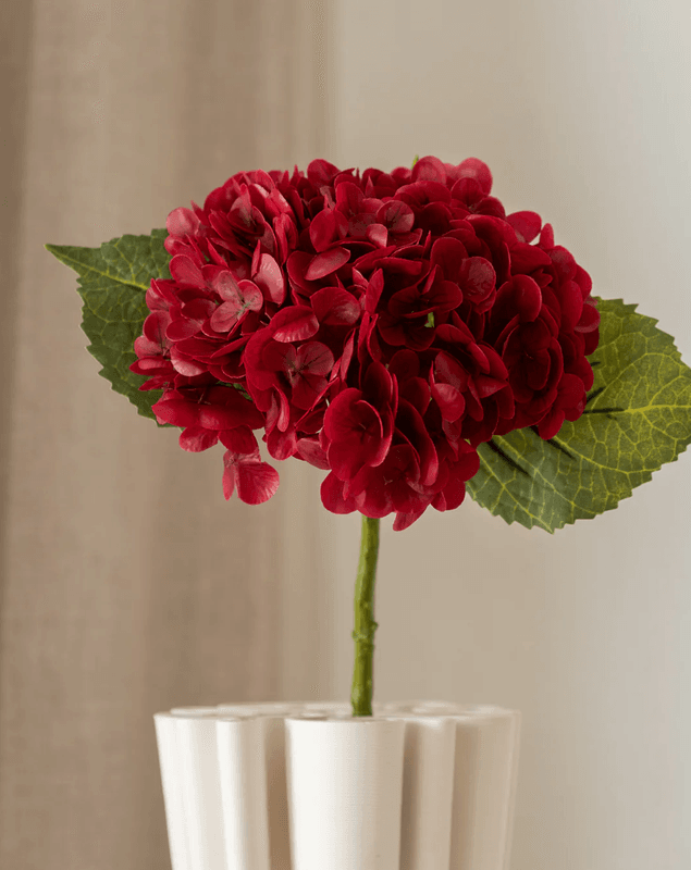 Hydrangea Flower