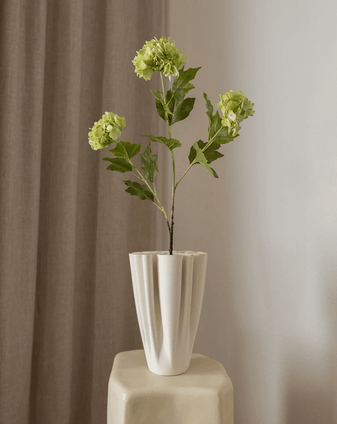 Hovedbilde Hydrangea Flower Small