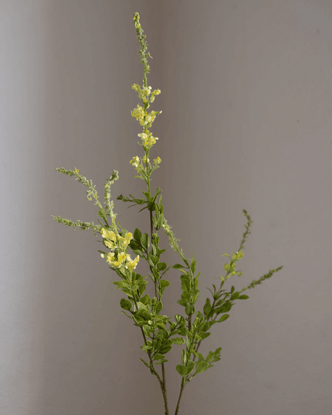 Hovedbilde Wildflower