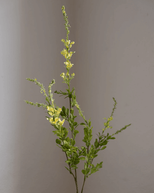 Hovedbilde Wildflower