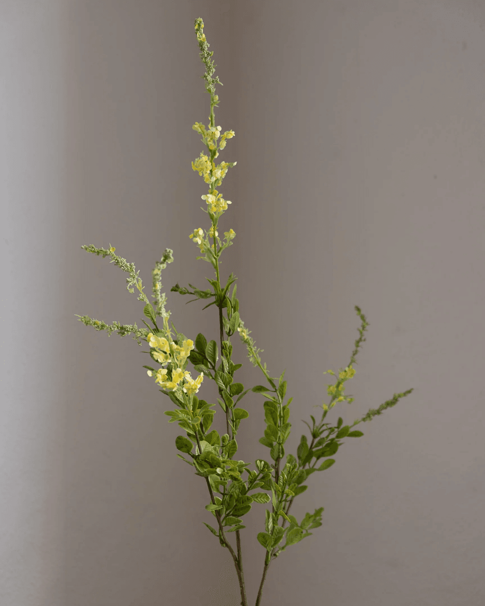 Wildflower